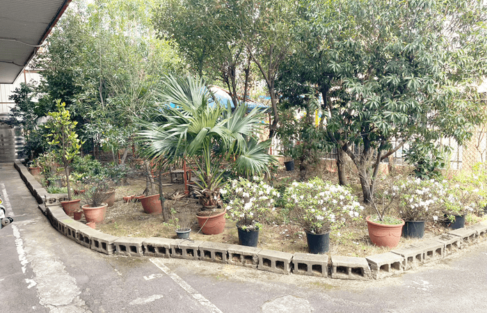 勝光長期照顧中心-自然環境